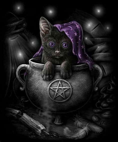 Ni hao kitty witch